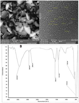 Improving seed germination and physiological characteristics of maize seedlings under osmotic stress through potassium nano-silicate treatment